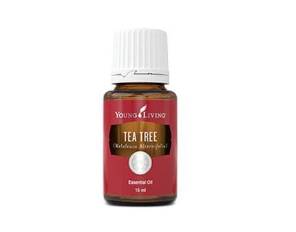 Young Living Tea Tree (Melaleuca Alternifolia) Essential Oil 15ml on Sale