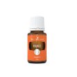 Young Living Orange Essential Oil 15ml on Sale