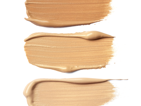 Perfect Skin Foundation Sample Online now