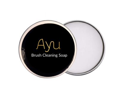 Brush Cleaning Soap Online